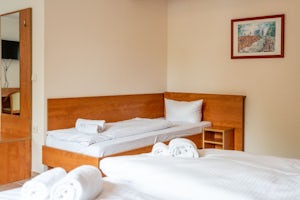 Classic Single Room